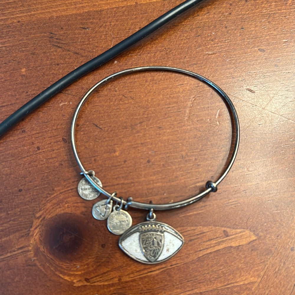 Baltimore Ravens Alex and ani